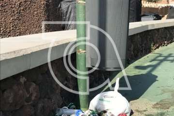 Melenara amanece sucia y maloliente (Foto TA)