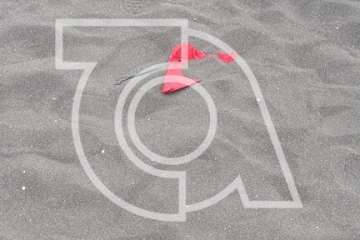 Melenara amanece sucia y maloliente (Foto TA)