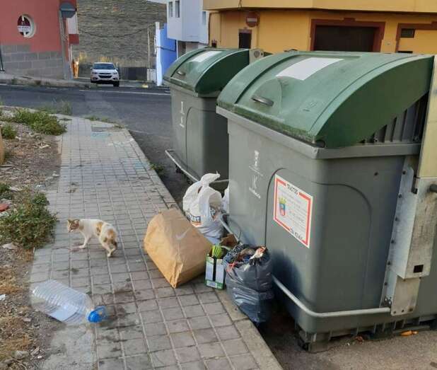 Imagen captada por una vecina en La Herradura esta misma mañana (Foto TA)