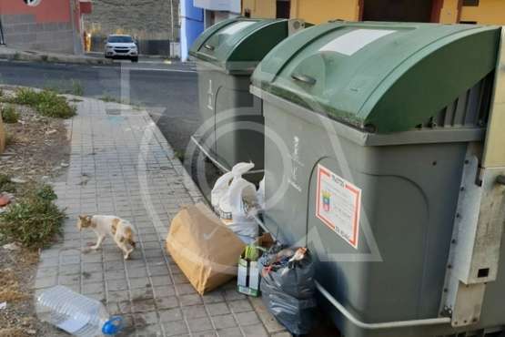 Telde: Contenedores vacíos y basura por fuera (Foto TA)