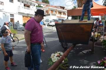 Romería del Pino 2018 (Foto Antonio Alí, Francisco Javier Santana y TA)