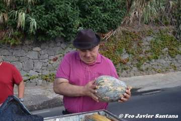 Romería del Pino 2018 (Foto Antonio Alí, Francisco Javier Santana y TA)