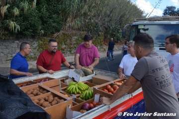 Romería del Pino 2018 (Foto Antonio Alí, Francisco Javier Santana y TA)