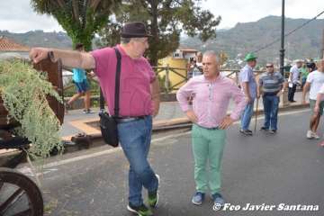 Romería del Pino 2018 (Foto Antonio Alí, Francisco Javier Santana y TA)