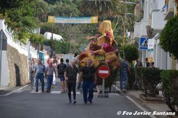 Romería del Pino 2018 (Foto Antonio Alí, Francisco Javier Santana y TA)