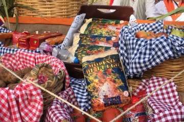 Telde, en la romería de la Virgen de la Peña (Foto cedida a TA por Miguel Florido)