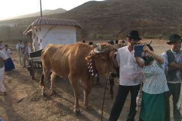 Telde, en la romería de la Virgen de la Peña (Foto cedida a TA por Miguel Florido)