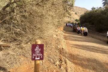 Telde, en la romería de la Virgen de la Peña (Foto cedida a TA por Miguel Florido)