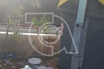 Pollos a la basura...en Telde (Foto TA)