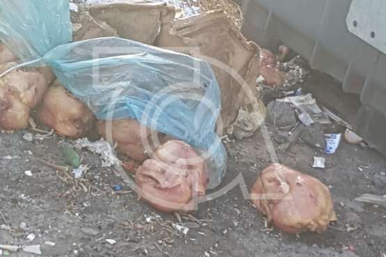 Pollos a la basura...en Telde (Foto TA)