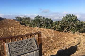 Bajada de los patronos y pregón en Cazadores (Foto TA)
