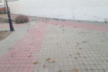 El Callejón del Castillo demanda más atención para su plaza pública (Foto TA)