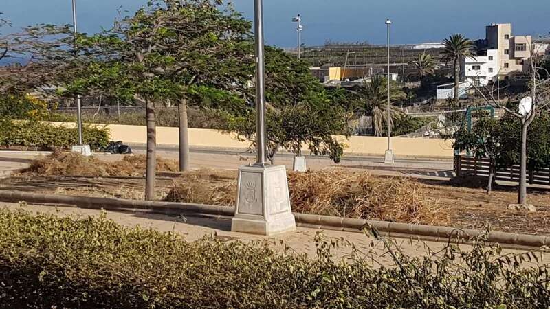 Las labores se desarrollan desde hace dos semanas (Foto TA)