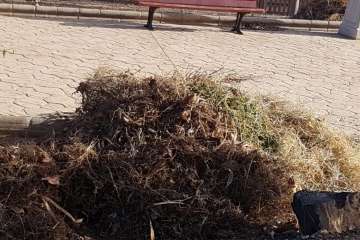 Alegría en El Contrapeso por la limpieza de su entorno (Foto TA)