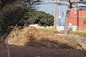 Alegría en El Contrapeso por la limpieza de su entorno (Foto TA)