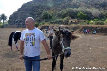 Foto TA / Francisco J. Santana