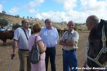 Foto TA / Francisco J. Santana