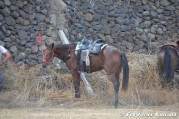 Foto TA / Francisco J. Santana