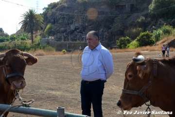 Foto TA / Francisco J. Santana