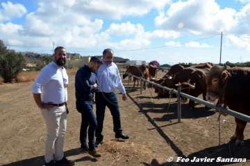 Foto TA / Francisco J. Santana