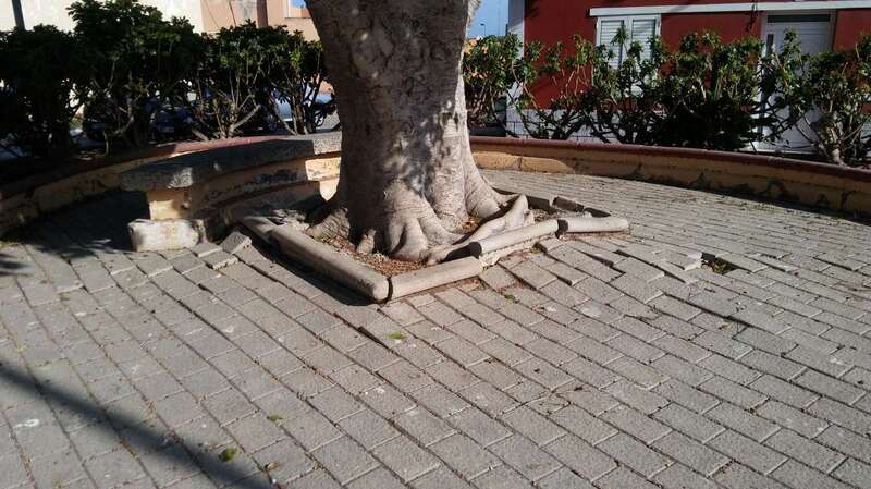 Imagen de la plazoleta de Lomo Bristol, levantada por las raíces de los árboles (Foto TA)