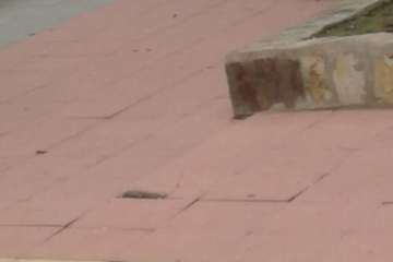 Las Huesas claman por una limpieza a fondo del parque infantil Miki (Foto TA)