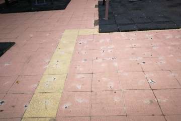 Las Huesas claman por una limpieza a fondo del parque infantil Miki (Foto TA)