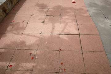 Las Huesas claman por una limpieza a fondo del parque infantil Miki (Foto TA)