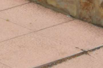 Las Huesas claman por una limpieza a fondo del parque infantil Miki (Foto TA)