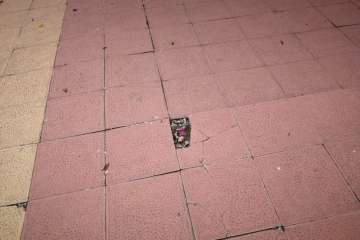 Las Huesas claman por una limpieza a fondo del parque infantil Miki (Foto TA)