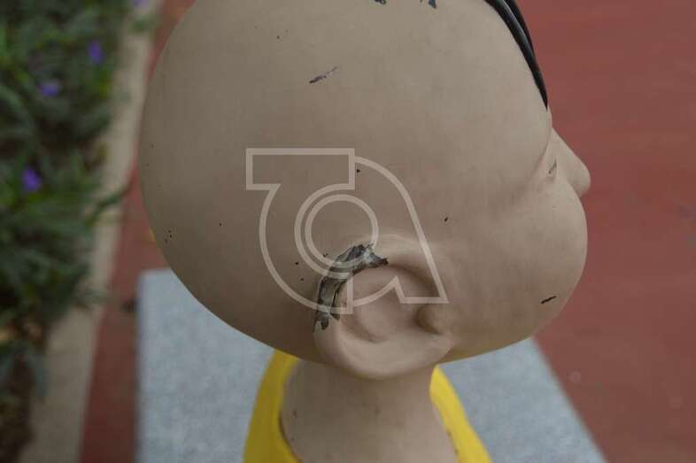 La escultura de resina ha perdido parte del lóbulo superior de la oreja derecha (Foto TA)