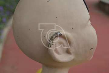 Daños la escultura ubicada en el parque urbano de San Juan (Foto TA)