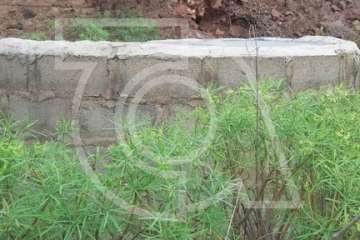 Los peligrosos pozos de Rosiana, tapiados por Minas del Gobierno de Canarias (Foto TA)