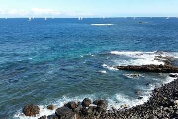 Un día espléndido despide a su paso por la costa Telde a los tripulantes de la Regata ARC (Foto Jesús Ruiz Mesa y Miguel Santana)