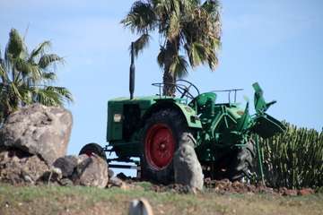 Encuento anual de los antiguos alumnos del Instituto Laboral de Telde  (Foto Jesús Ruiz Mesa)