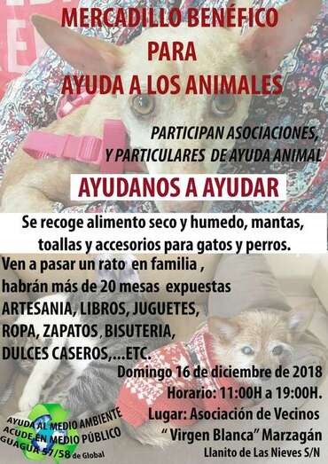 Cartel del mercadillo benéfico (Foto TA)