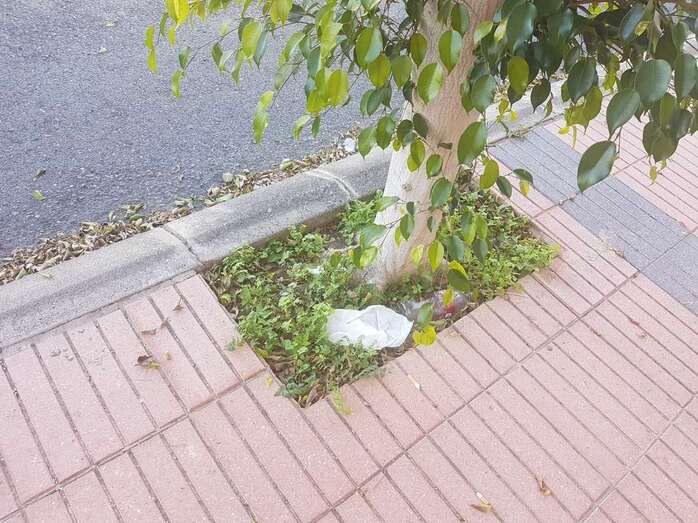 Aclorques descuidados y falta de limpieza en la Hoyeta (Foto TA)