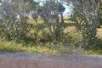 La Hoyeta reclama limpieza para sus jardines y calles (Foto TA)