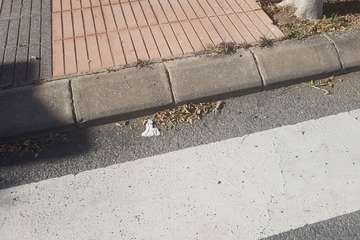 La Hoyeta reclama limpieza para sus jardines y calles (Foto TA)