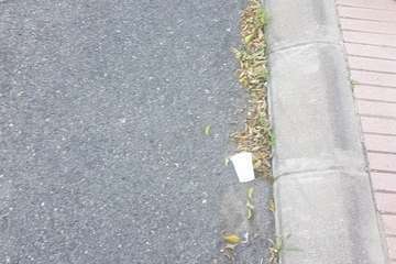 La Hoyeta reclama limpieza para sus jardines y calles (Foto TA)