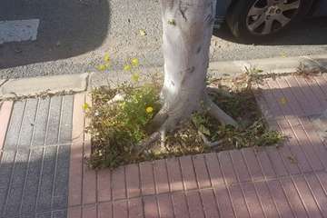 La Hoyeta reclama limpieza para sus jardines y calles (Foto TA)