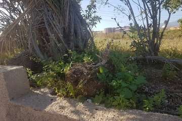 La Hoyeta reclama limpieza para sus jardines y calles (Foto TA)