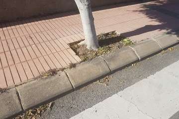 La Hoyeta reclama limpieza para sus jardines y calles (Foto TA)