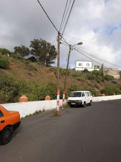 Postes de la luz en la vía de acceso a Lomo Blanco (Foto TA)