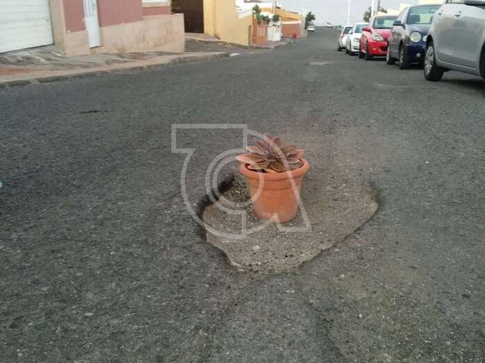 Macetero en uno de los baches de la calle (Foto TA)