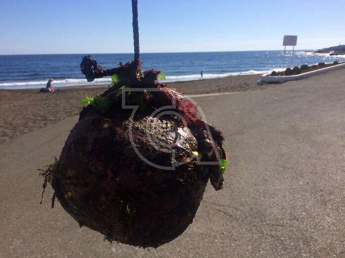 Boya extraída de La Garita (Foto TA)