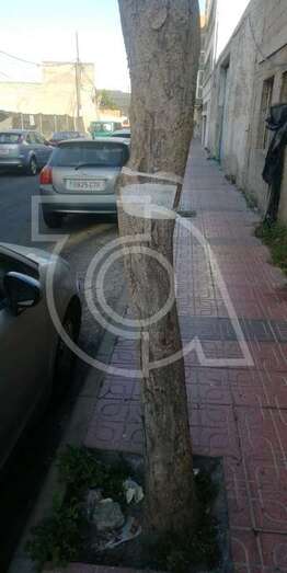 Los vecinos han colocado carteles en los árboles avisando de los robos nocturnos (Foto TA)