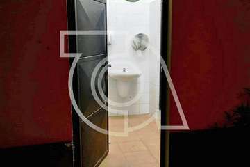 Rata muerta en los aseos del parque urbano de San Juan (Foto TA)