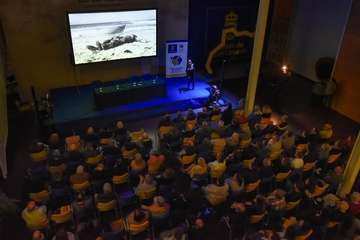 El Patio del Cabildo de Gran Canaria acogió esta tarde noche la proyección del desgarrador documental El naufragio. 30 años de memoria sumergida (Foto TA)