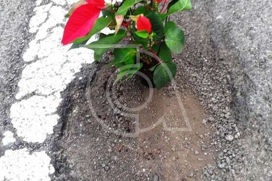 Vecinos de Clavellinas y Lomo Bristol 'se plantan' ante los socavones (Foto TA)